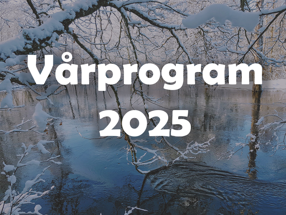 Vårprogram 2025